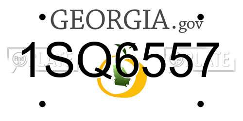 1SQ6557 Georgia License Plate