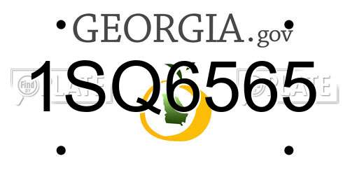 1SQ6565 Georgia License Plate