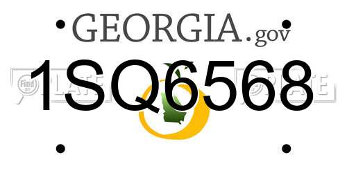 1SQ6568 Georgia License Plate