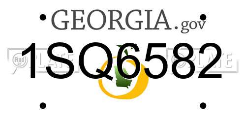 1SQ6582 Georgia License Plate