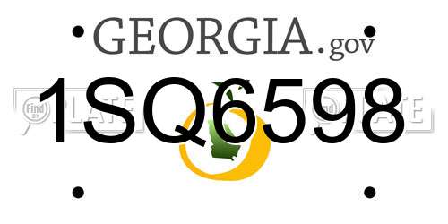 1SQ6598 Georgia License Plate