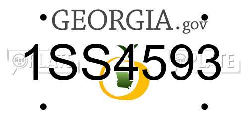 1SS4593 Georgia License Plate