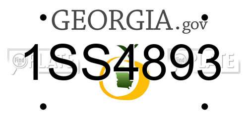 1SS4893 Georgia License Plate
