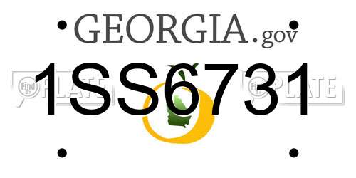 1SS6731 Georgia License Plate