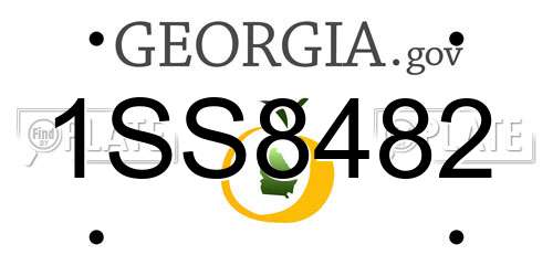 1SS8482 Georgia License Plate