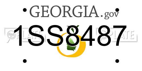 1SS8487 Georgia License Plate