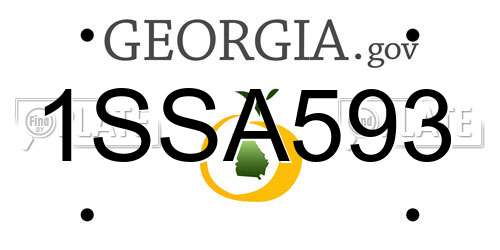 1SSA593 Georgia License Plate