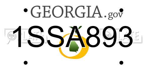 1SSA893 Georgia License Plate