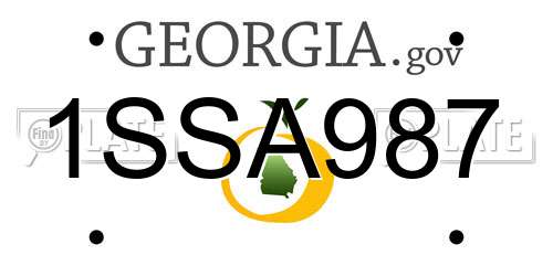 1SSA987 Georgia License Plate
