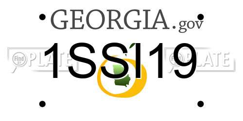 1SSI19 Georgia License Plate