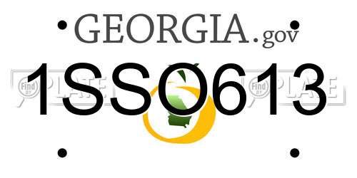 1SSO613 Georgia License Plate