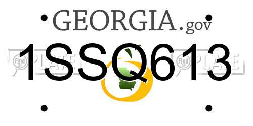 1SSQ613 Georgia License Plate