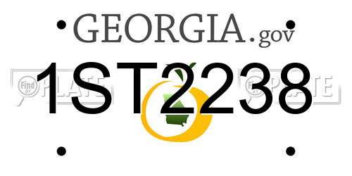 1ST2238 Georgia License Plate
