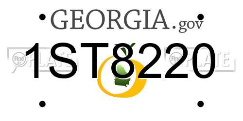 1ST8220 Georgia License Plate