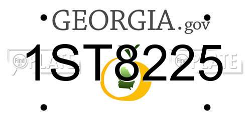 1ST8225 Georgia License Plate