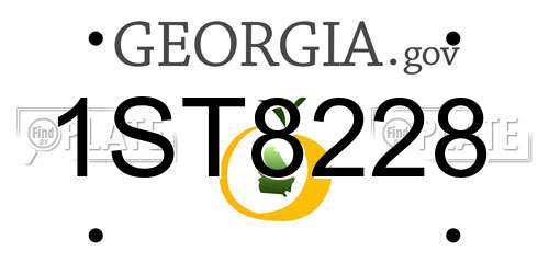 1ST8228 Georgia License Plate
