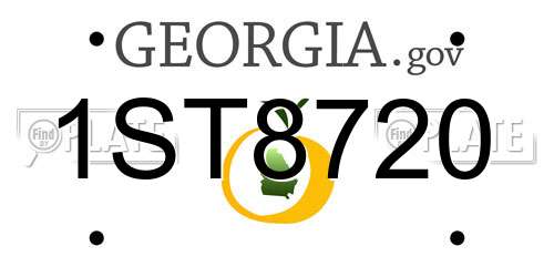 1ST8720 Georgia License Plate