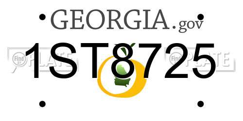 1ST8725 Georgia License Plate