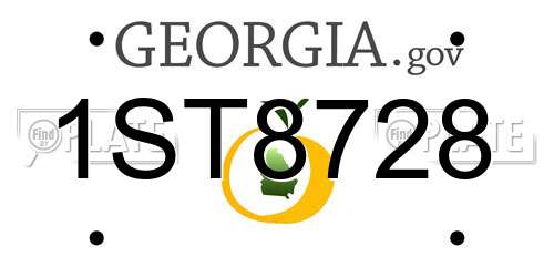 1ST8728 Georgia License Plate