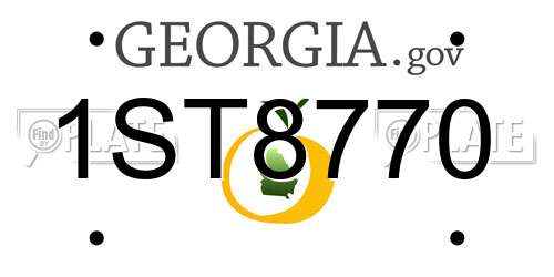 1ST8770 Georgia License Plate
