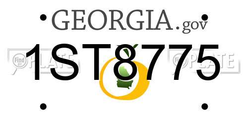 1ST8775 Georgia License Plate