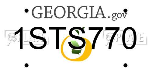 1STS770 Georgia License Plate