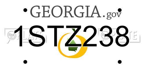 1STZ238 Georgia License Plate