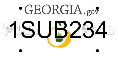 1SUB234 Georgia License Plate