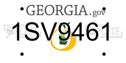 1SV9461 Georgia License Plate