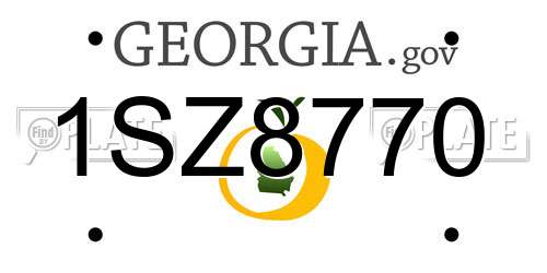 1SZ8770 Georgia License Plate