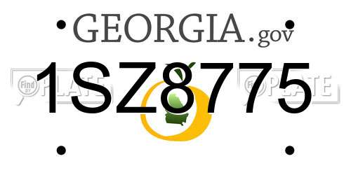 1SZ8775 Georgia License Plate