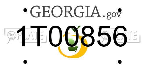 1T00856 Georgia License Plate