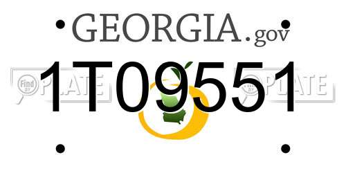 1T09551 Georgia License Plate