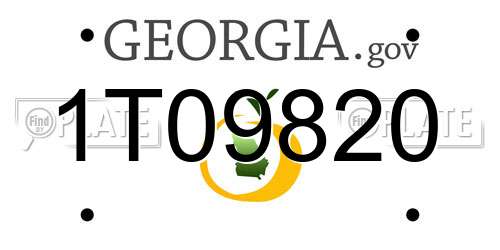 1T09820 Georgia License Plate