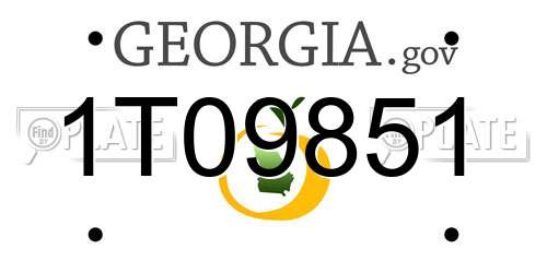 1T09851 Georgia License Plate