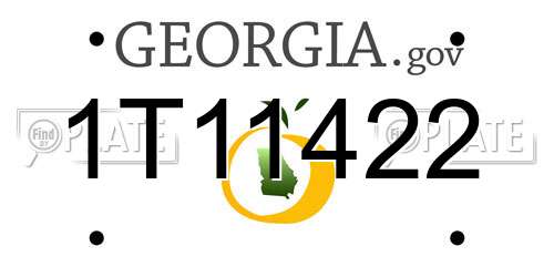 1T11422 Georgia License Plate