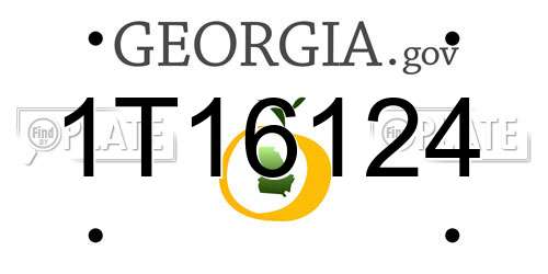 1T16124 Georgia License Plate