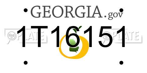1T16151 Georgia License Plate