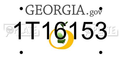 1T16153 Georgia License Plate