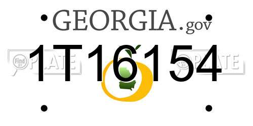 1T16154 Georgia License Plate