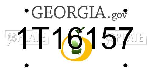 1T16157 Georgia License Plate