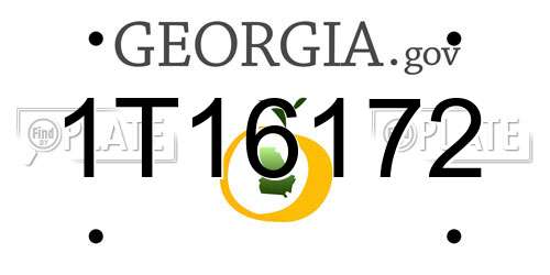 1T16172 Georgia License Plate
