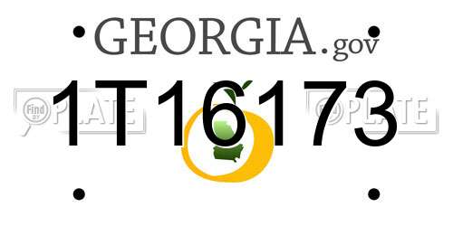 1T16173 Georgia License Plate