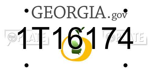 1T16174 Georgia License Plate