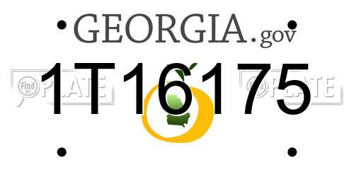 1T16175 Georgia License Plate