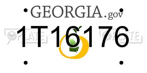 1T16176 Georgia License Plate