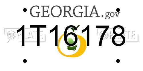 1T16178 Georgia License Plate