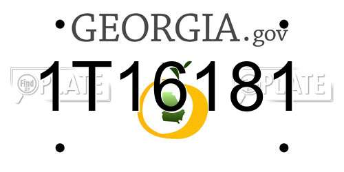 1T16181 Georgia License Plate