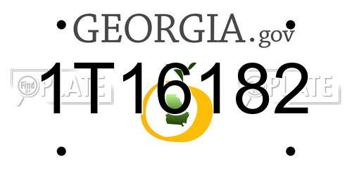 1T16182 Georgia License Plate