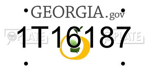 1T16187 Georgia License Plate